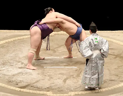 Les combats de sumos
